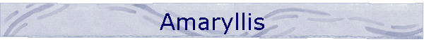 Amaryllis