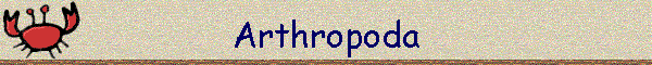 Arthropoda