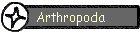Arthropoda