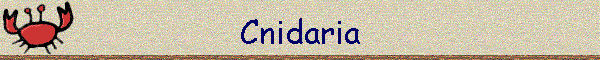 Cnidaria
