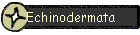 Echinodermata