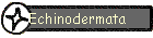 Echinodermata