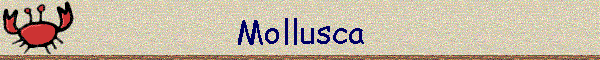 Mollusca