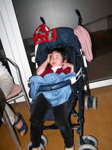 Amaryllis' Beauty Sleep