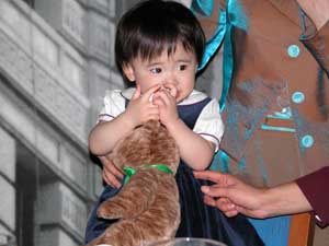 Billionaire the Bear